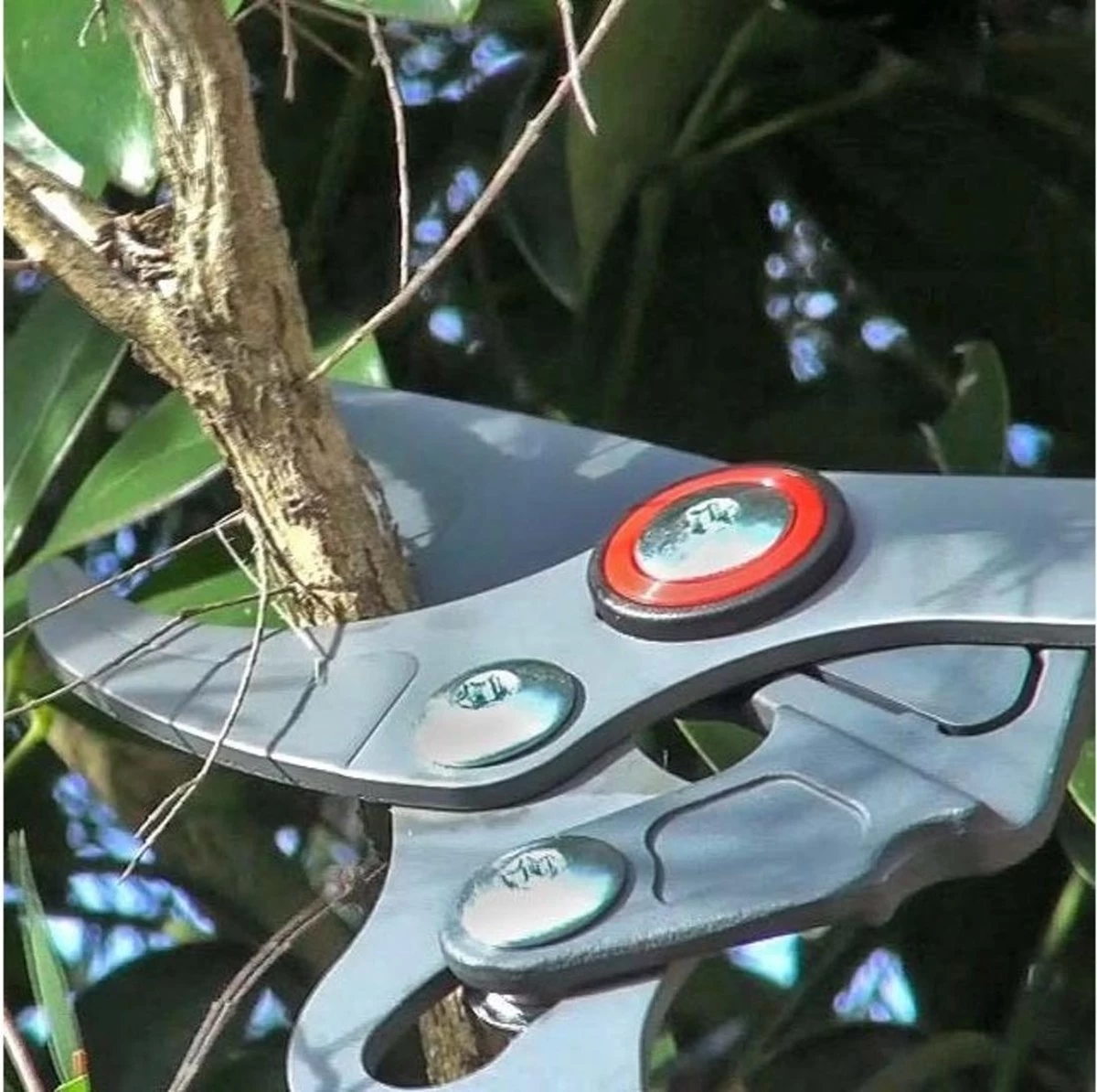 WOLF-Garten Takkenschaar POWER CUT RR*** 900 T - Lengte 650-900mm - Telescoop - Aluminium Hefboomarmen - 4x Meer Kracht - Messpanning Instelbaar - Afbeelding 7