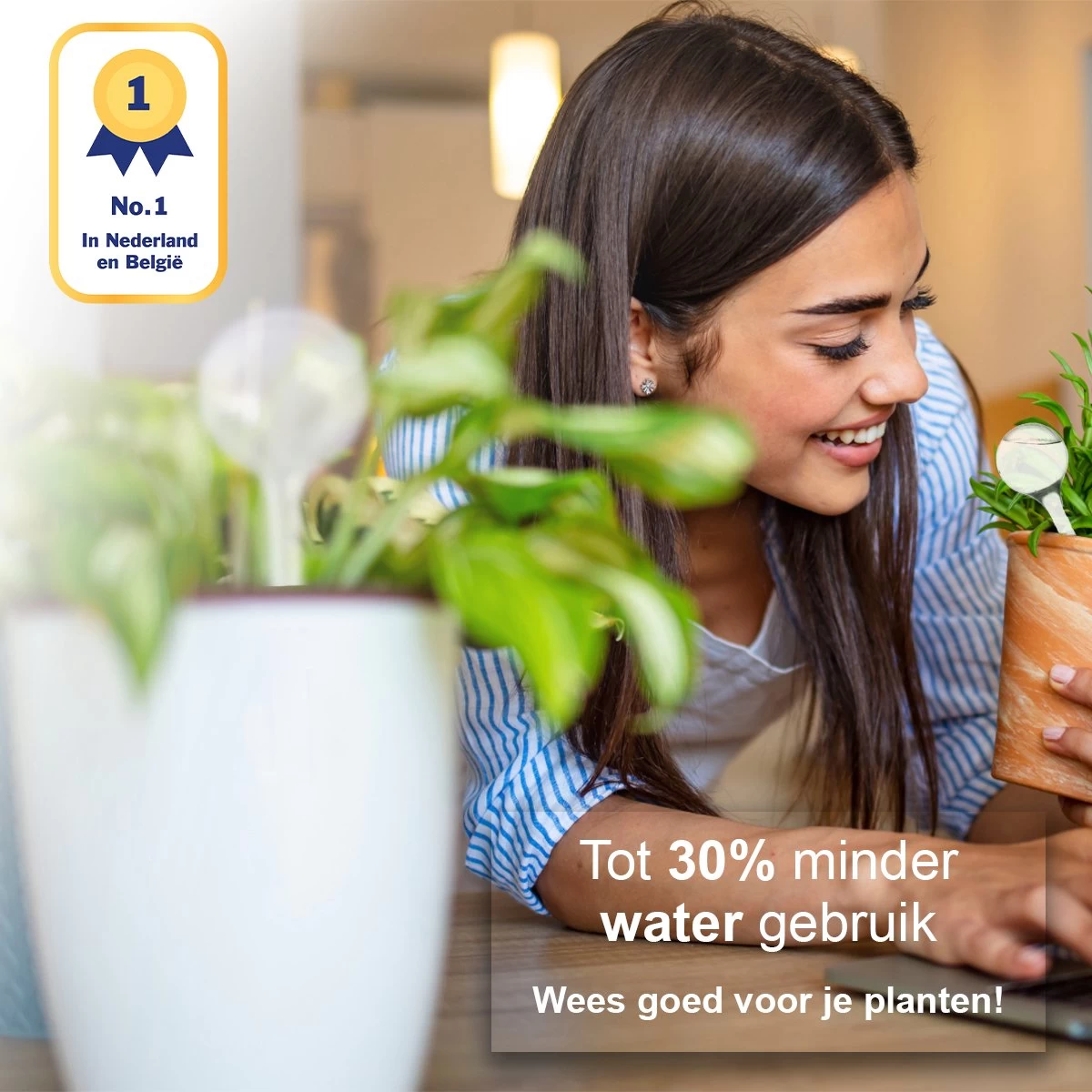 Waterdruppelaar Set Van 12 Stuks - Waterdruppelaar Voor Planten - Watergeefsysteem - Waterbol Irrigatiesysteem - Automatisch Druppelsysteem Voor Kamerplanten & Tuin - Watergever - Transparant - 15cm - Afbeelding 2