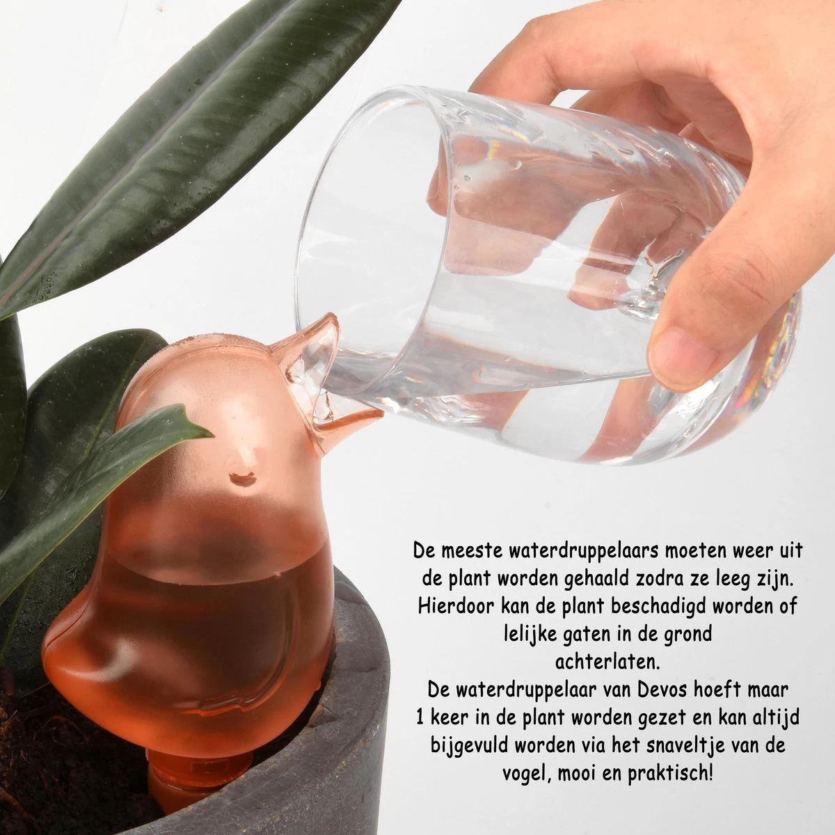 Waterdruppelaar Voor Planten 2 Stuks - Waterbol Kamerplanten - Automatisch Watergeefsysteem - Vogel - Roze - Afbeelding 3