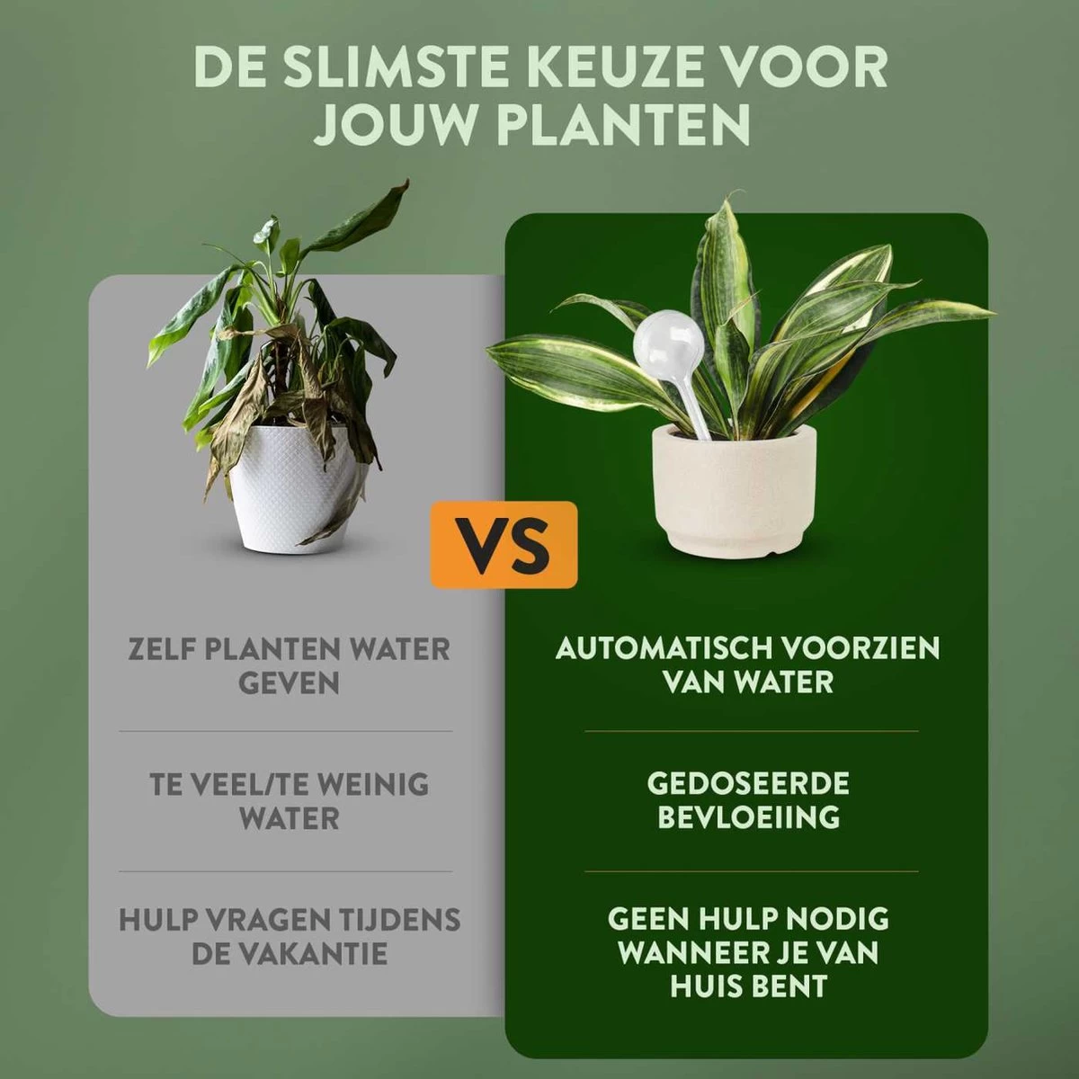 STFF & Co® Waterdruppelaar Voor Planten – Irrigatiesysteem Automatisch Watergeefsysteem – Waterbollen Voor Planten – Bewateringssysteem – 8 Stuks - 8cm - Afbeelding 3