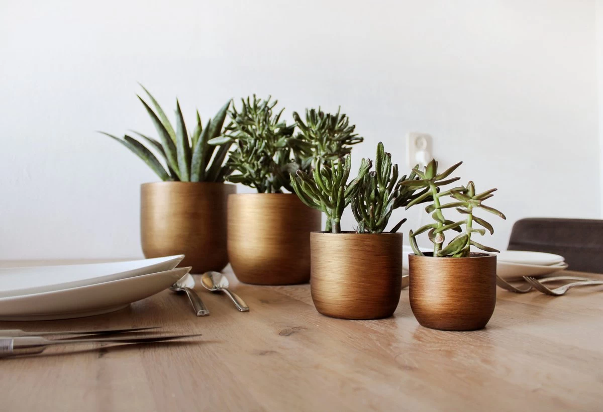 Capi Europe - Set Van 4 - Bloempot Binnen - Retro - - Goud - Bloempot Voor Binnen - BOX-BRTG-4 - Afbeelding 3