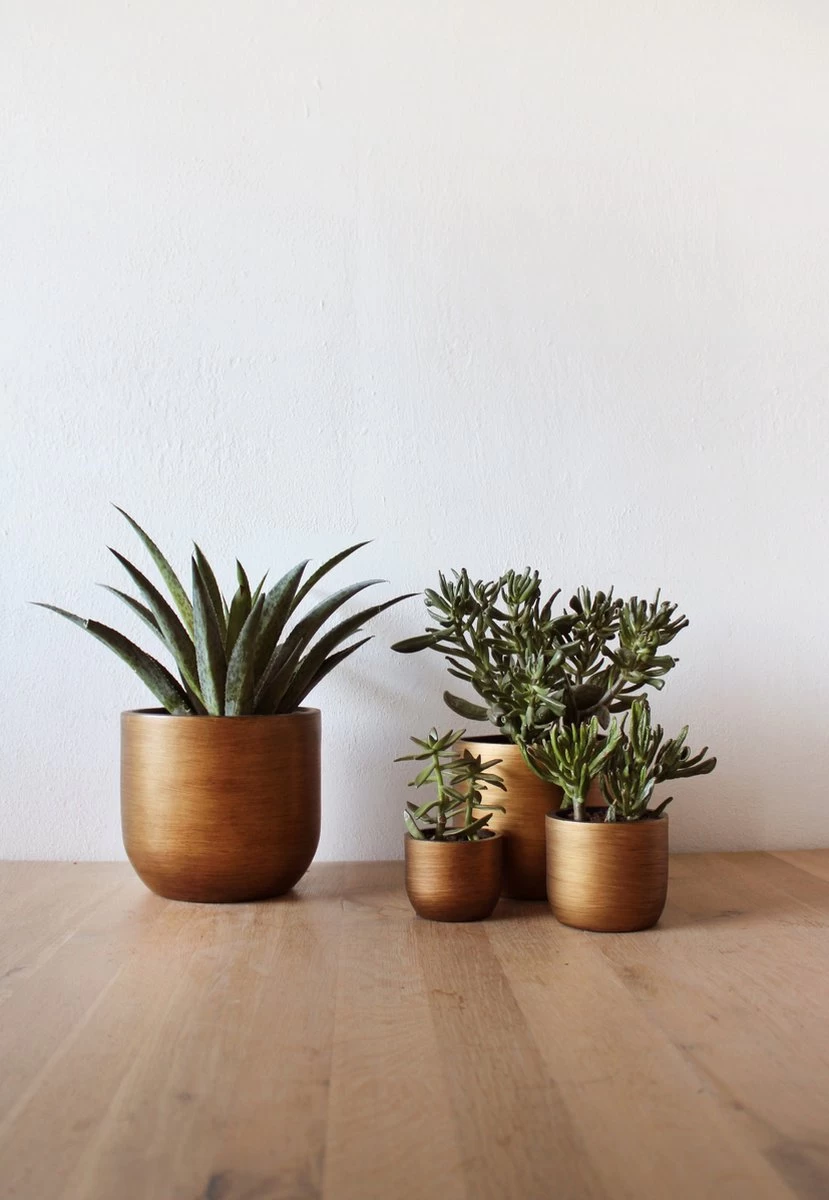 Capi Europe - Set Van 4 - Bloempot Binnen - Retro - - Goud - Bloempot Voor Binnen - BOX-BRTG-4 - Afbeelding 4