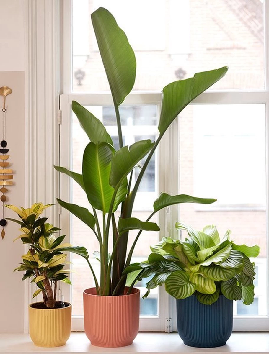 Elho Vibes Fold Rond 30 - Bloempot Voor Binnen - Ø 29.5 X H 27.2 Cm - Delicaat Roze - Afbeelding 8